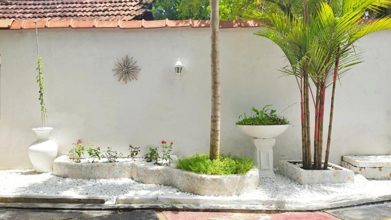 Boho Garden Guest House 미리사 외부 사진
